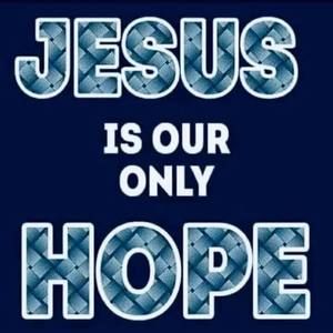 Meet your Posher, Bella